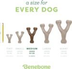 Benebone Wishbone Durable Toy ForDogs, For Heavy Chewers, Bacon Flavor - Image 4